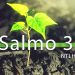 Bíblia Para Ouvir – Salmo 3 (NTLH)