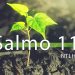 Bíblia Para Ouvir – Salmo 11 (NTLH)