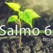 Bíblia Para Ouvir – Salmo 6 (NTLH)