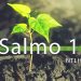 Bíblia Para Ouvir – Salmo 1 (NTLH)