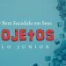 Como ser Bem Sucedido em Seus Projetos  – Paulo Junior
