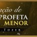 A. W.  Tozer – Oração de um profeta menor