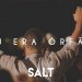 Cia. SALT – Eu Era Órfão (Cover Nel Braga)