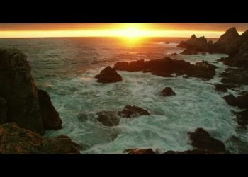 LIVRES – Mais um Dia – Venha de Branco!