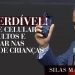 Pastor Silas Malafaia comenta: Imperdível! Uso de celular nos cultos e celular na mão de crianças.