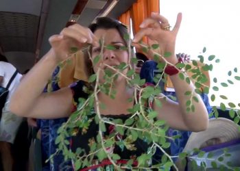 Nos bastidores com DT – PGM 40 – Parte 5