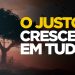 VOCÊ É JUSTO? ENTÃO CRESCERÁ PARA TODOS OS LADOS! | SILAS MALAFAIA – MOTIVACIONAL