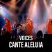 Voices – Cante Aleluia (Ao Vivo) – DVD Por Toda Vida