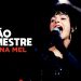 Cristina Mel – A Mão do Mestre (Ao Vivo) DVD Dê Carinho