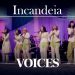 Voices – Incandeia (Ao Vivo) – DVD Acústico – Collection