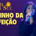 Pamela – Caminho da Perfeição (Ao Vivo) DVD Canta Zona Sul Vol 2