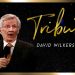 Tributo a David Wilkerson