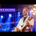 AMOR A PALAVRA | LIVE | ADHEMAR DE CAMPOS