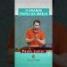 O Grande Papel da Igreja – Paulo Junior