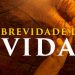 Culto ao vivo – A Brevidade da Vida | Defesa do Evangelho | Igreja Aliança do Calvário