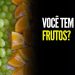 VOCÊ TEM DADO FRUTOS?  I SILAS MALAFAIA  I MOTIVACIONAL