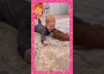 Bebê brinca no chão com cachorro filhote – 3 Palavrinhas React