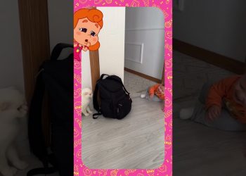 Bebê brinca de esconde com gato – 3 Palavrinhas React!