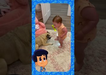 Tem coisa mais fofa?! Bebê + cachorrinho + lanterna 😍😂 – 3 Palavrinhas React