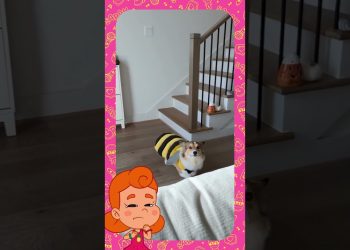 Uma Abelhinha Fofa Passando! 🥹💛 – 3 Palavrinhas React!